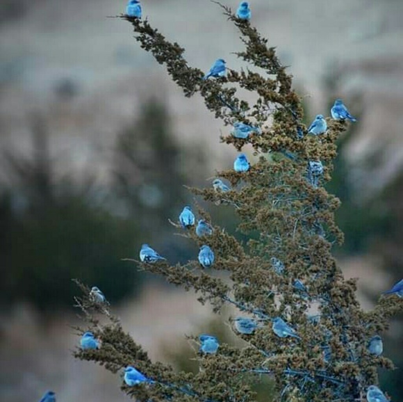 bundle&save Accessories - Meet your Posher, Lashelle